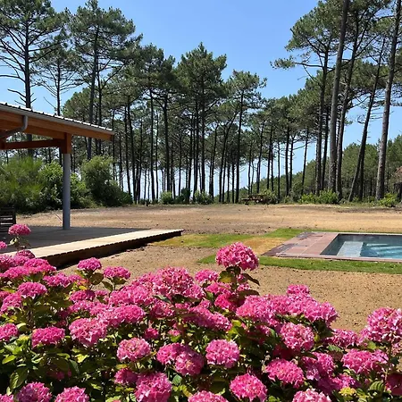 빌라 Spacieuse En Bois Exotique - 10 Pers. - Fr-1-878-69 몰리엣젯마